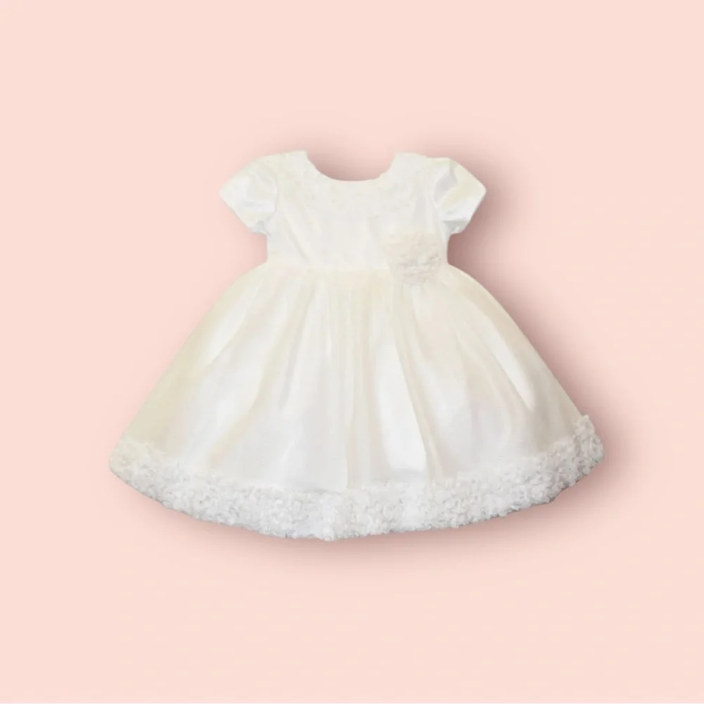 NWT Blueberi Boulevard Baby Girl Floral Appliqué Tulle Overlay Fit & Flare Dress